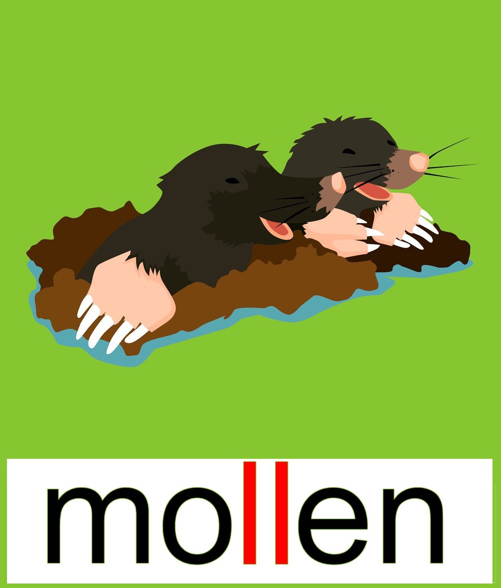 molen