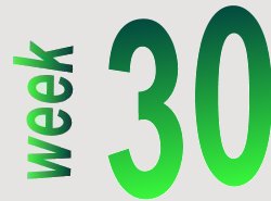 werkwoordblad groep 8 nummer 30