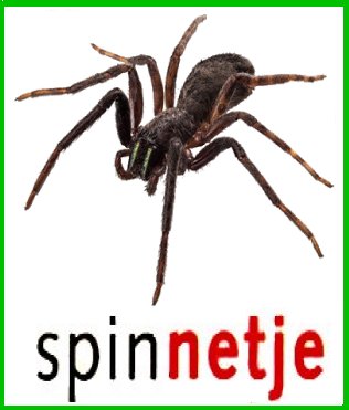 spinnetje